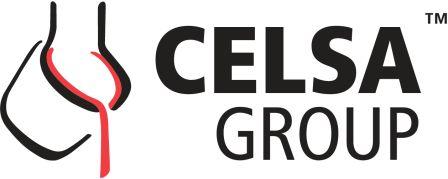 SAF for bluebiz 2024 - Celsa Group
