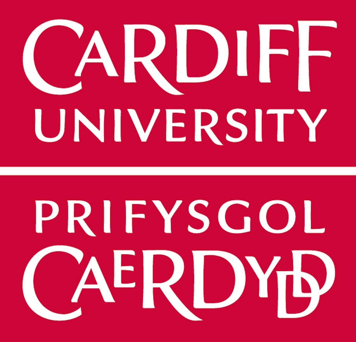 SAF for bluebiz 2024 - Cardiff University