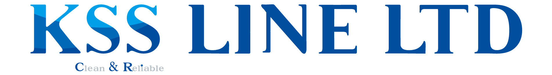 SAF for bluebiz 2025 - KSS LINE LTD