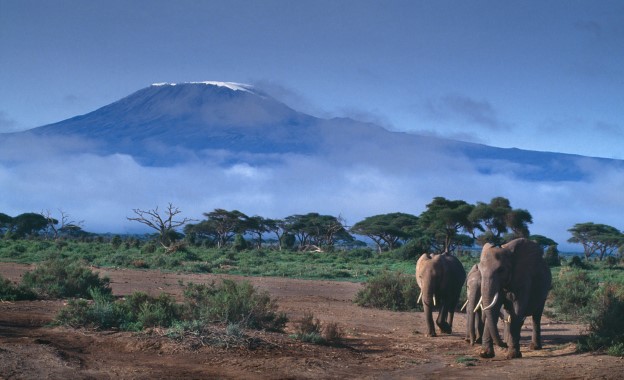 Kilimanjaro-624x380.jpg
